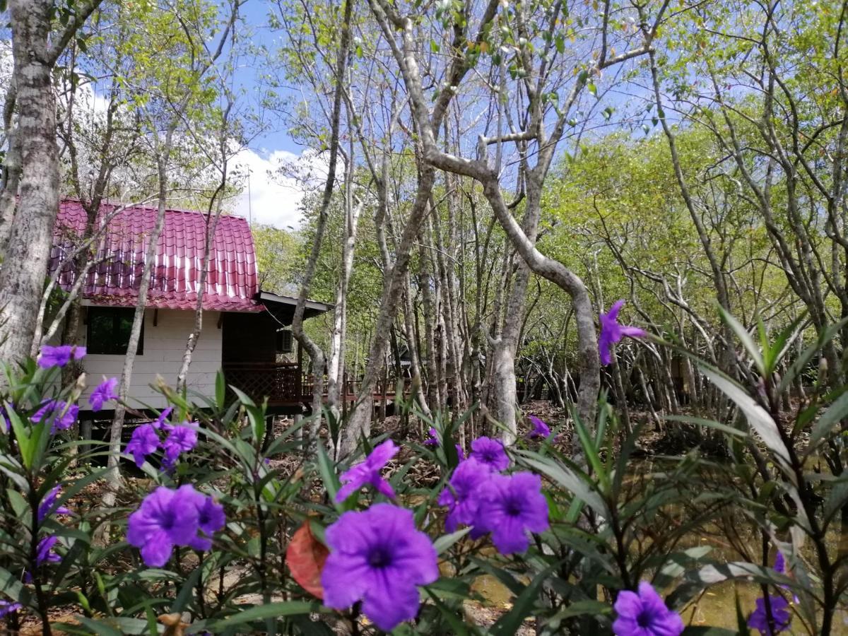 Api-Api Eco Chalet Pantai Kok Exterior photo